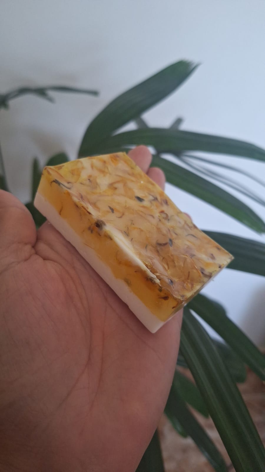 calendula